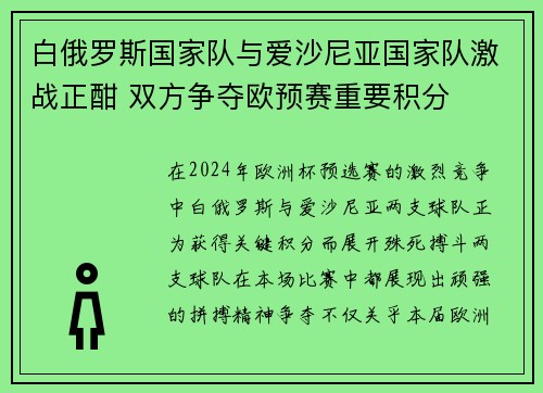 白俄罗斯国家队与爱沙尼亚国家队激战正酣 双方争夺欧预赛重要积分