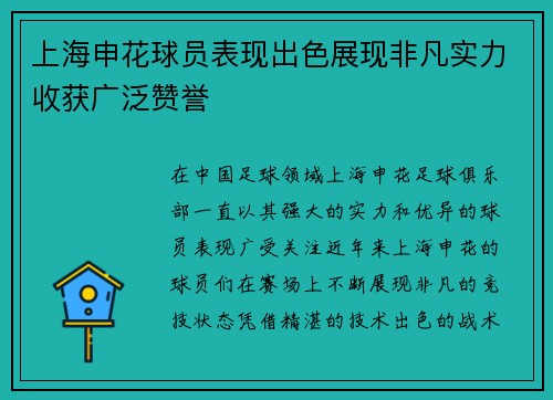 上海申花球员表现出色展现非凡实力收获广泛赞誉